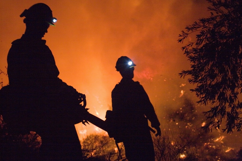 Strażacy w trakcie pożaru w lesie